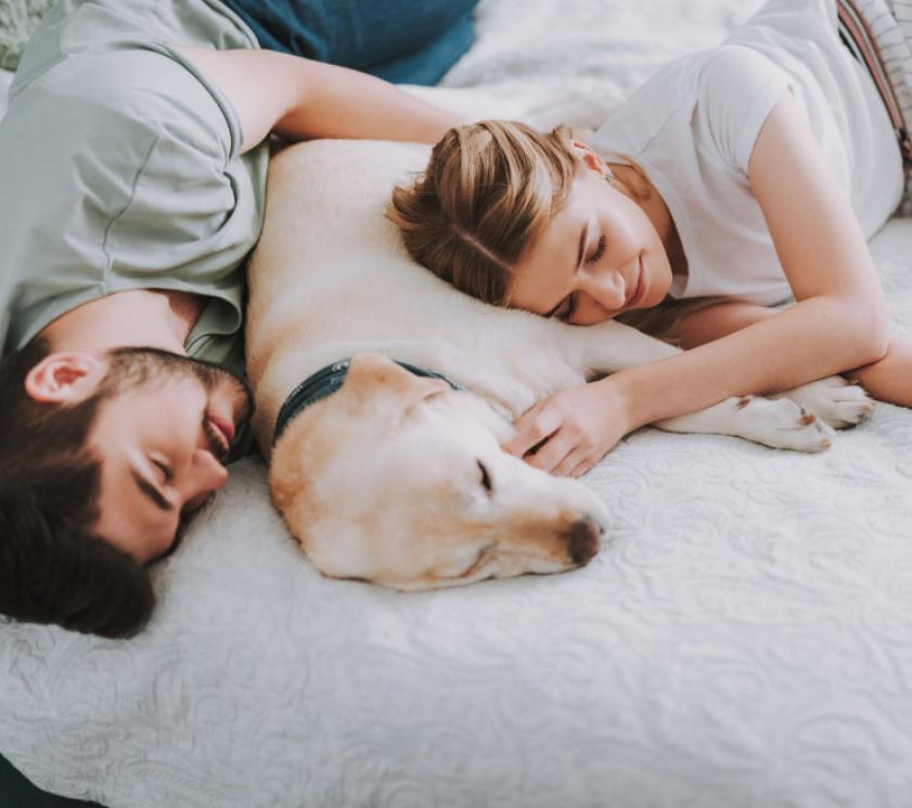 Couple sleeping cuddled up with their dog on a bed.